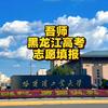 吾师升学规划/龙江报考
