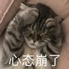 懒大王是也