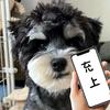 冷静玩（斗罗猎魂世界）