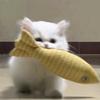 不吃鱼（见过颜人中版）