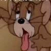 性感的腿毛