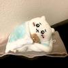猪猪蛋仔派对(看主页)