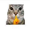 爆炸猫(猫meme)
