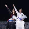 自由如风无畏去爱