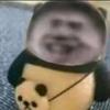 马超大王666