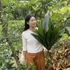 杨杨在家