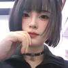 猪咪