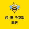 重庆哎上课专升本