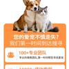 找猫侦探猫橘长
