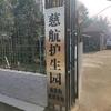 流浪汪救助