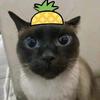 关重七
