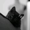 Ferrous_oxide