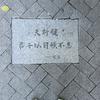 越来会越好