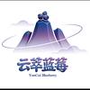 凤龙湾蓝莓采摘园官方号