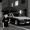 柏霖