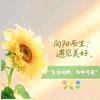 素书