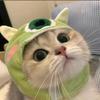 波波吃蛋挞
