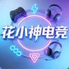 花小神电竞(99/1000w)