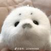 柠檬红茶美年达