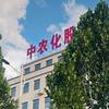 中农化股份