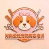 河南爱旺宠物美容培训