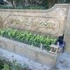 煮小春