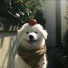 谁是00？