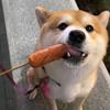 清禾丶