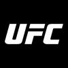 UFC终极格斗冠军