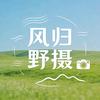 风归野摄