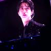 super珍枪鱼