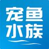 宠鱼水族宠物