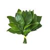 Atopos
