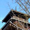福建泰宁旅游小舒