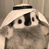🆔11.23为炸の奔赴🍀一切🐾💤