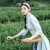 爱喝茶的茶小柒(口粮茶版)
