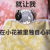 阿狸的尾巴丶