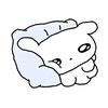 特猫you