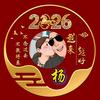 有杨必有将