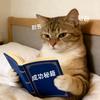 叶假