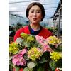 额敏县美林园艺花卉店