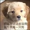 努努nunu