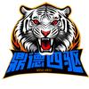 鼎德四驱～学友哥