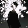 正经的贝才