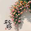 海丰县轩夏百货店（个体工商户）