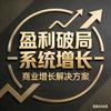 盈利破局-系统增长