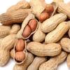 落笙_Peanut