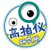 高拍仪研究员