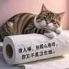 栗子养猫