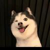 易清